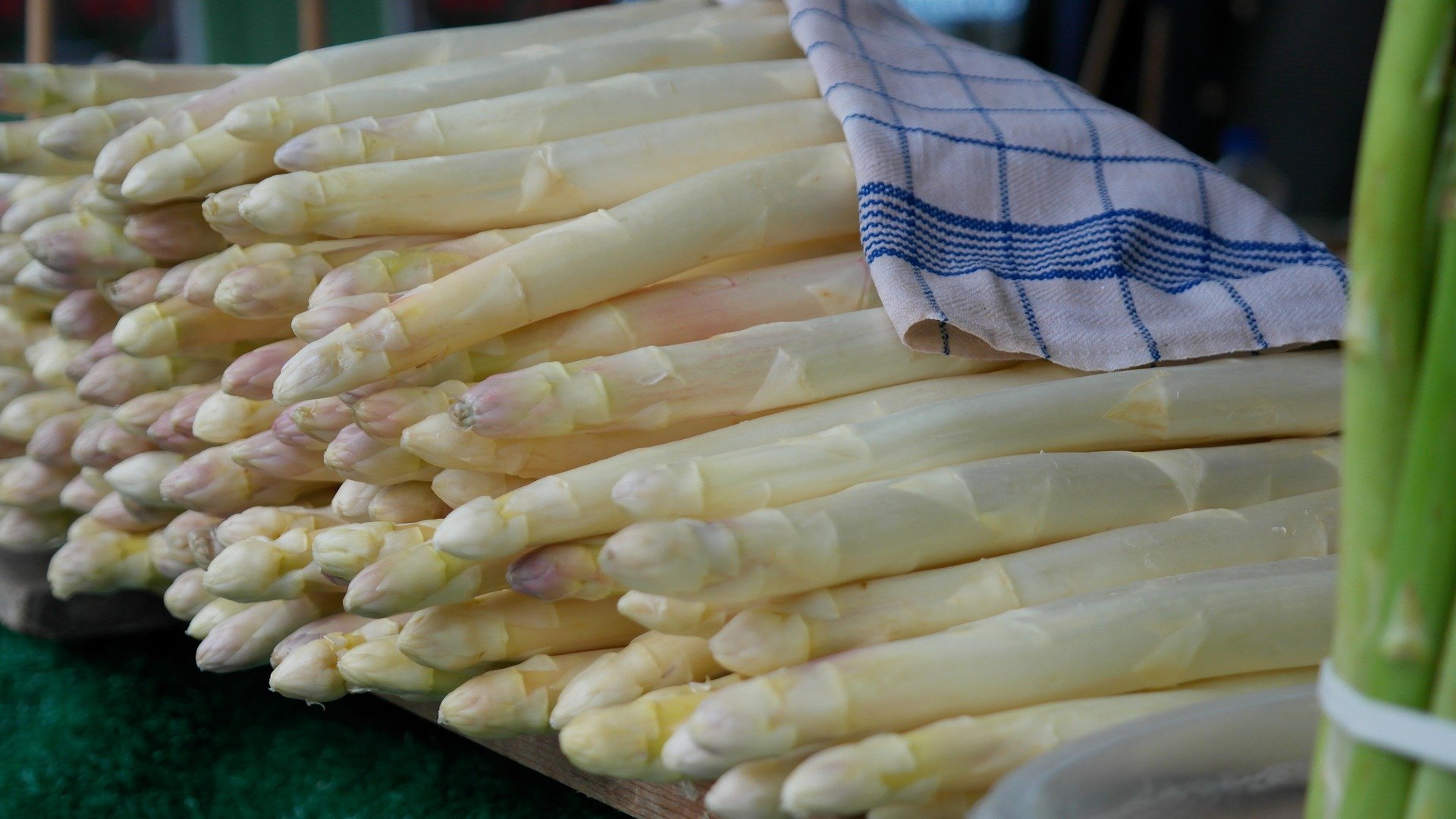 asparagus-823785_1920
